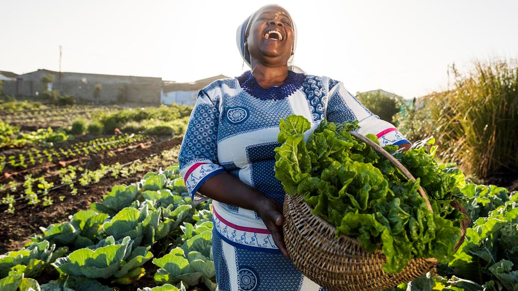 Farmers bringing fresh produce to market